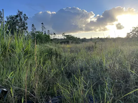 16-1272 Koloa Maoli Rd, Mountain View, HI 96760