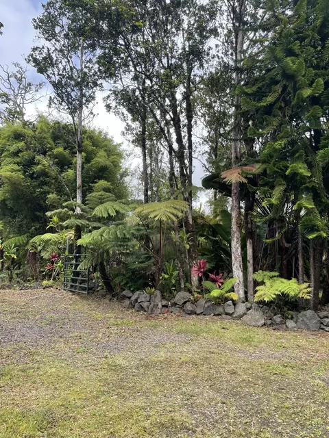 Omaomao Rd, Volcano, HI 96785