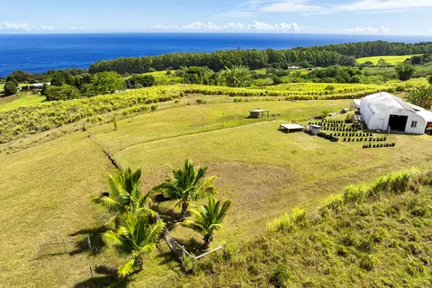 35-326 Pahale Rd, Papaaloa, HI 96780
