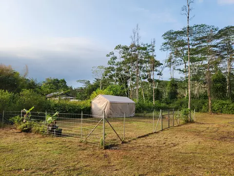 Puna Rd, Pahoa, HI 96778