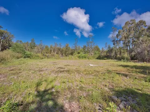 Road 2, Mountain View, HI 96760 photo 5