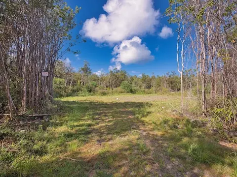 Road 2, Mountain View, HI 96760 photo 4