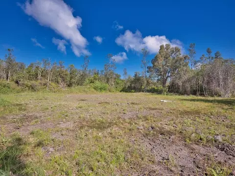 Road 2, Mountain View, HI 96760 photo 6