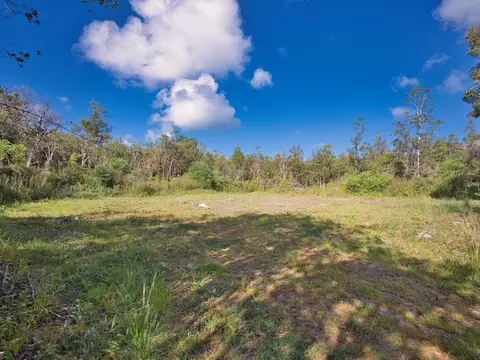 Road 2, Mountain View, HI 96760 photo 2