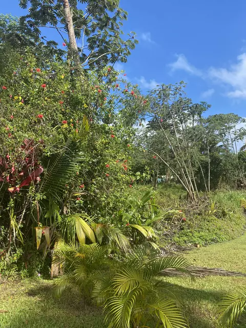 Undisclosed, Pahoa, HI 96778