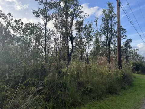 Mailenani Rd, Volcano, HI 96785