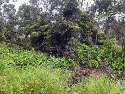 Undisclosed, Volcano, HI 96785 photo 6