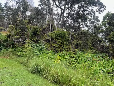 Undisclosed, Volcano, HI 96785 photo 4