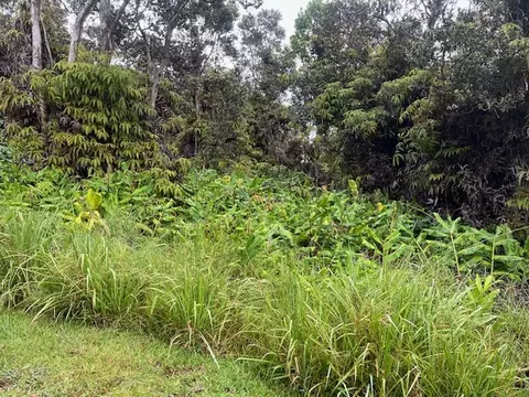 Undisclosed, Volcano, HI 96785 photo 5