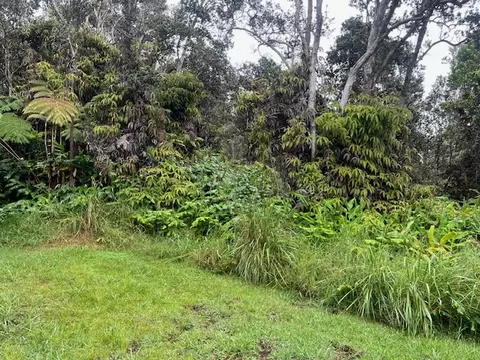 Undisclosed, Volcano, HI 96785 photo 2