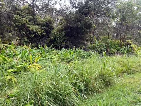 Undisclosed, Volcano, HI 96785
