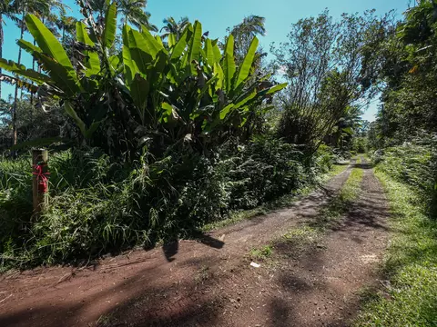 Volcano Rd, Volcano, HI 96785 photo 9