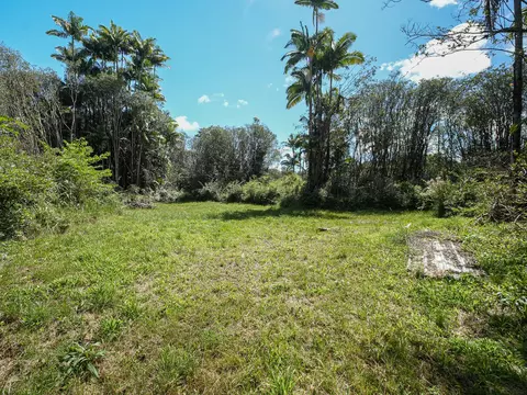 Volcano Rd, Volcano, HI 96785 photo 6