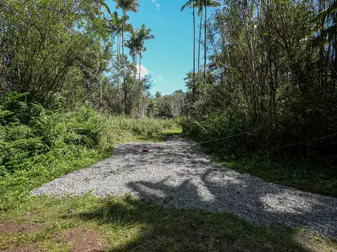 Volcano Rd, Volcano, HI 96785 photo 3