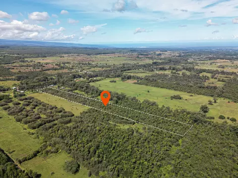 Volcano Rd, Volcano, HI 96785 photo 8