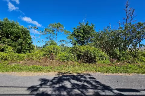 37 Th Ave, Kurtistown, HI 96760