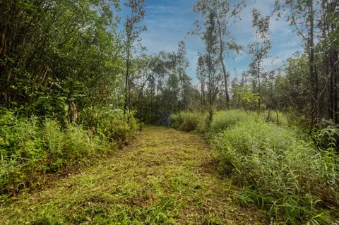 Pikake St, Mountain View, HI 96771