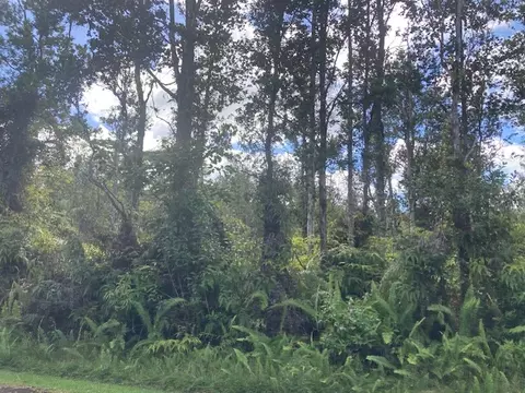 Alapai St, Pahoa, HI 96778