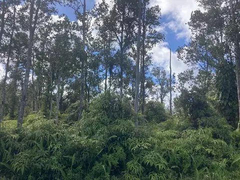 Alapai St, Pahoa, HI 96778