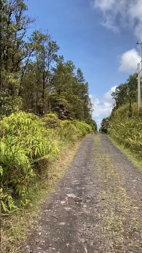 Kopaa St, Mountain View, HI 96771