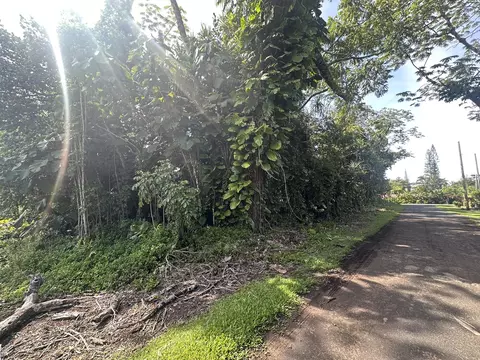 15-2716 Opelu St, Pahoa, HI 96778