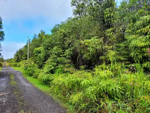 Malia Aina Rd, Volcano, HI 96785