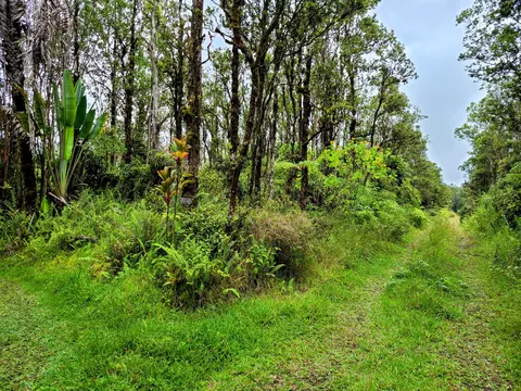 Ala Naulani Rd, Volcano, HI 96785