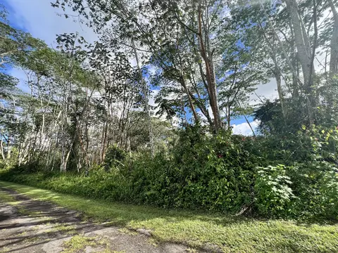 Plumeria Rd, Pahoa, HI 96778