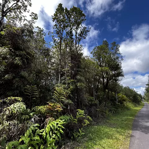 11-2669 Ohia Ave, Mountain View, HI 96771