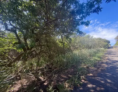 Pua St, Naalehu, HI 96772