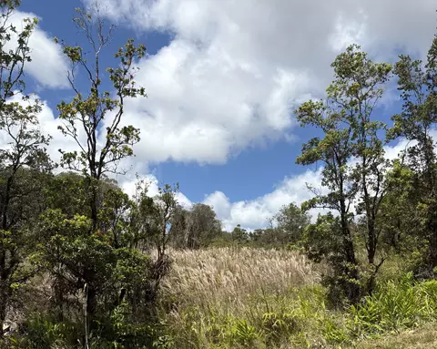 18-4165 Haumalu St, Volcano, HI 96785