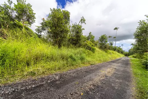 Kaiwiki Rd, Hilo, HI 96720 photo 12