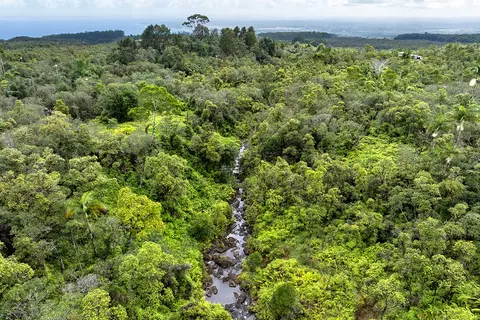 Kaiwiki Rd, Hilo, HI 96720 photo 11