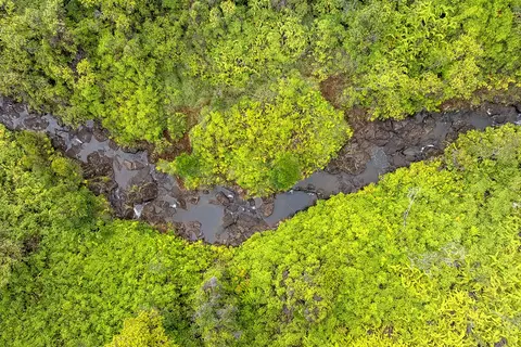 Kaiwiki Rd, Hilo, HI 96720 photo 10