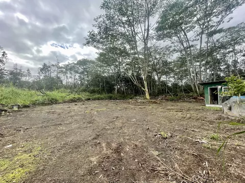 Kiele St, Kurtistown, HI 96760
