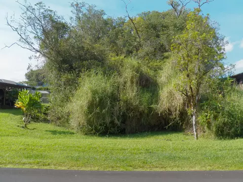 Kolika Rd, Mountain View, HI 96771