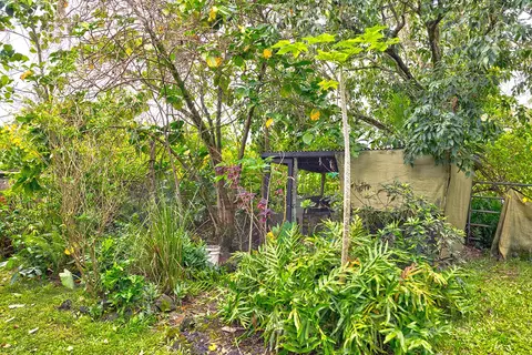 mapuana ave LOT 155, Pahoa, HI 96778 photo 11