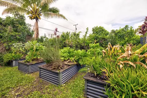 Exterior - 12-154 Mapuana Ave, Pahoa, HI 96778 photo 9 of 13