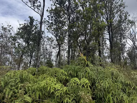 Ala Naulani, Volcano, HI 96785
