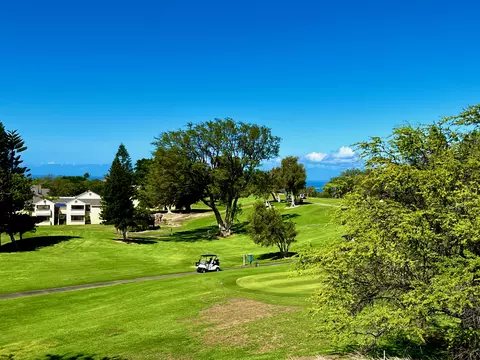 68-3868 Paniolo Ave #C201, Waikoloa, HI 96738