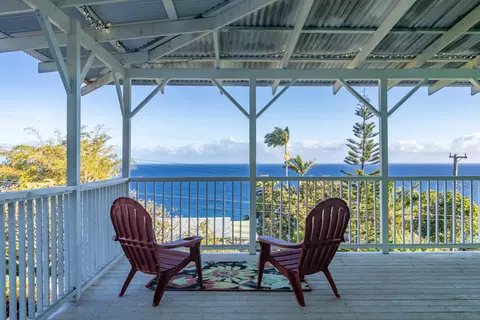 36-2369 Pualaea Pl, Laupahoehoe, HI 96764