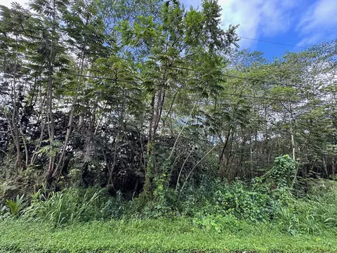 Undisclosed, Pahoa, HI 96778