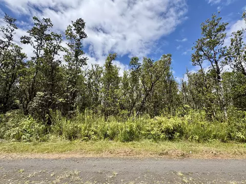 Alapua St, Mountain View, HI 96771
