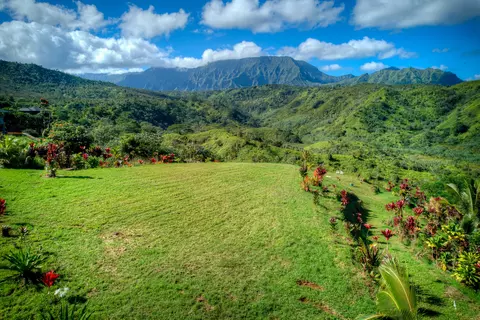 Halaulani Pl, Kilauea, HI 96754