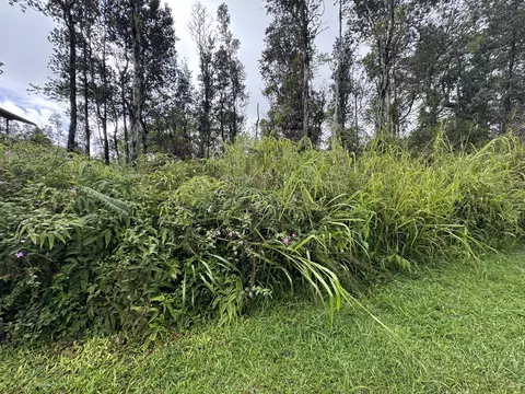 Oahu St, Pahoa, HI 96778