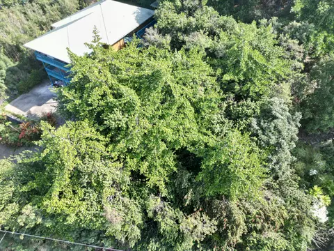 kaohe rd LOT 12, Captain Cook, HI 96704