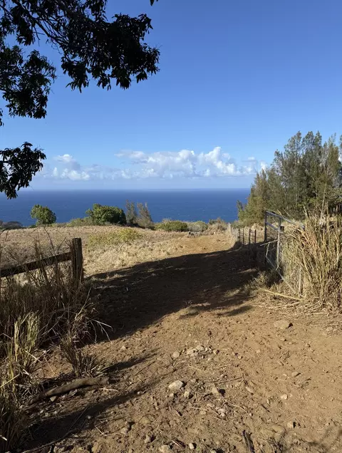 47-4536 Honokaa Waipio Rd, Honokaa, HI 96727