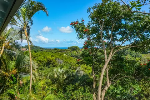 4005 Pai St, Kalaheo, HI 96741