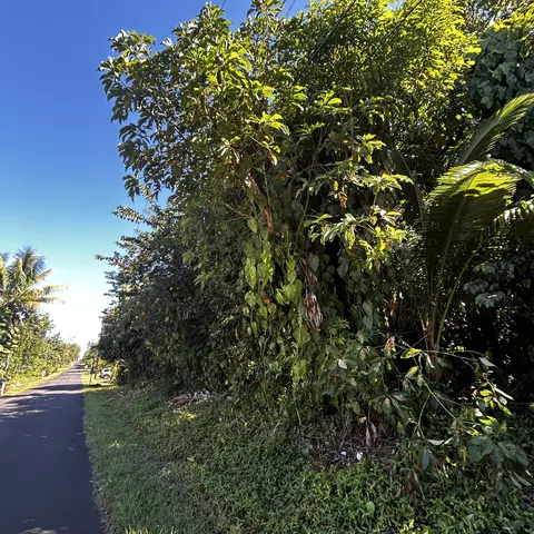 Opae St, Pahoa, HI 96778