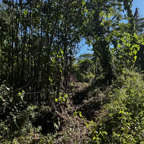 Oopu St, Pahoa, HI 96778